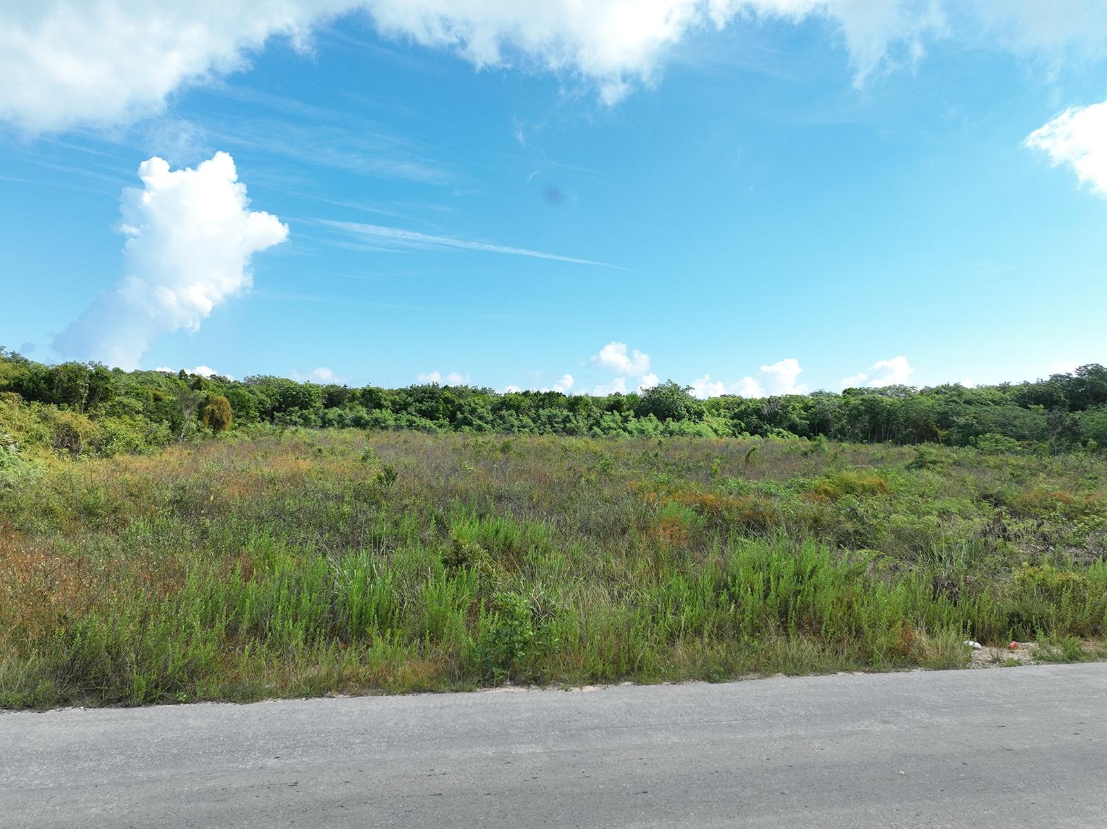 /listing-lots-acreage-in-wemyss-bight-78355.html from Coldwell Banker Bahamas Real Estate