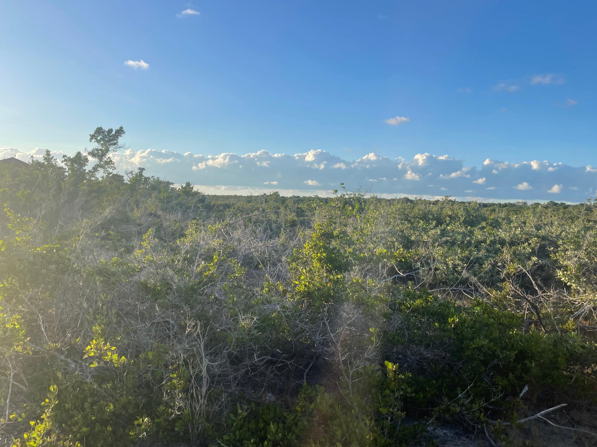 /listing-lots-acreage-in-bahama-sound-78348.html from Coldwell Banker Bahamas Real Estate