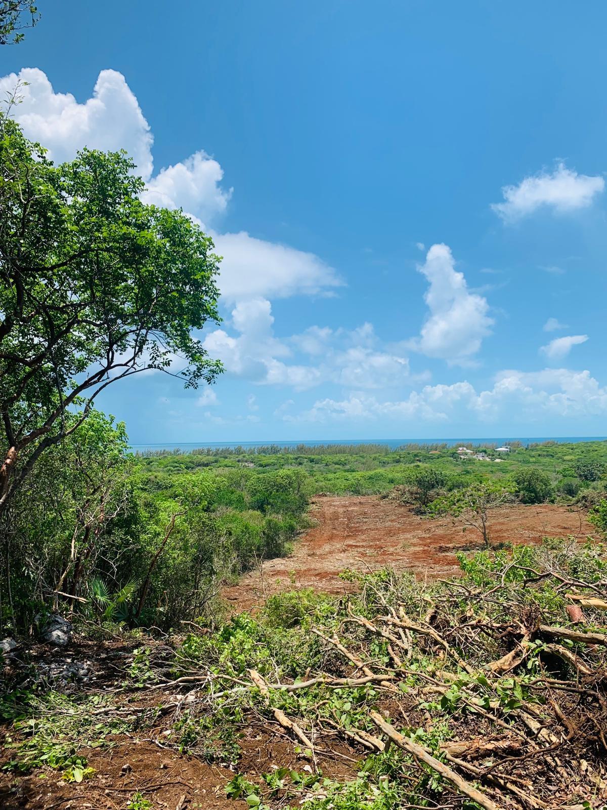 /listing-lots-acreage-in-hatchet-bay-78896.html from Coldwell Banker Bahamas Real Estate