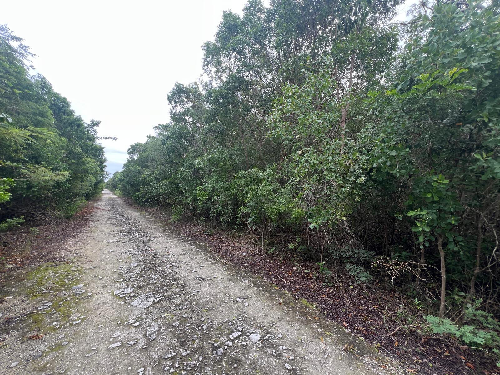 /listing-lots-acreage-in-bahama-sound-78403.html from Coldwell Banker Bahamas Real Estate