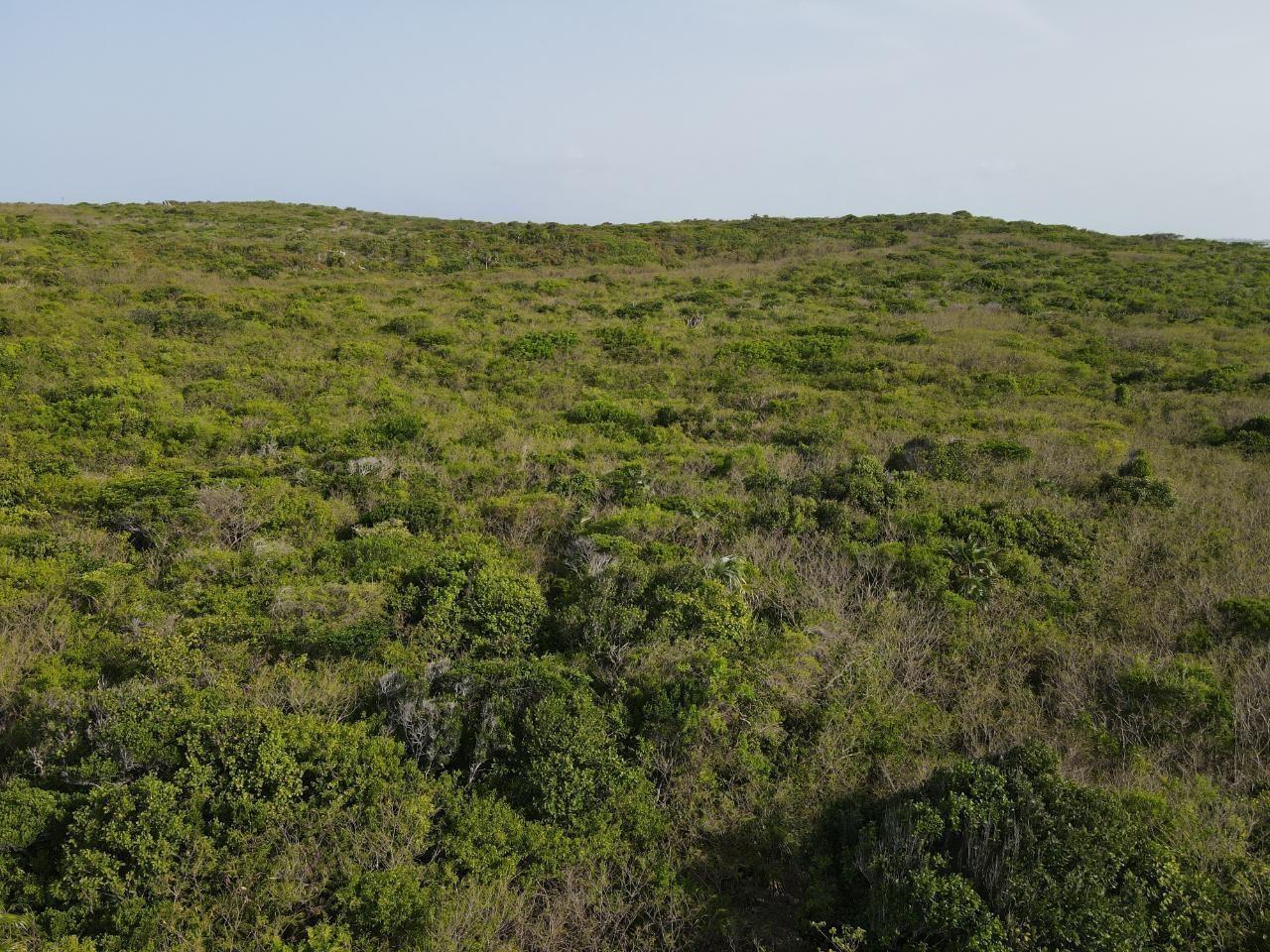 /listing-lots-acreage-in-doctors-creek-78501.html from Coldwell Banker Bahamas Real Estate