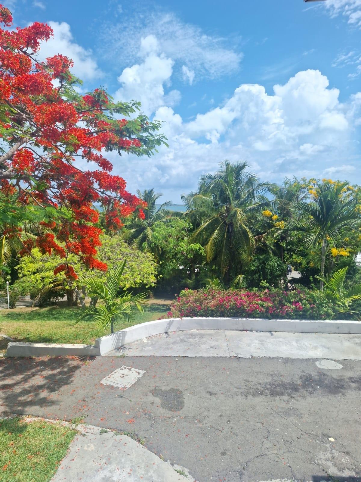 /listing-single-family-home-in-eastern-road-78584.html from Coldwell Banker Bahamas Real Estate