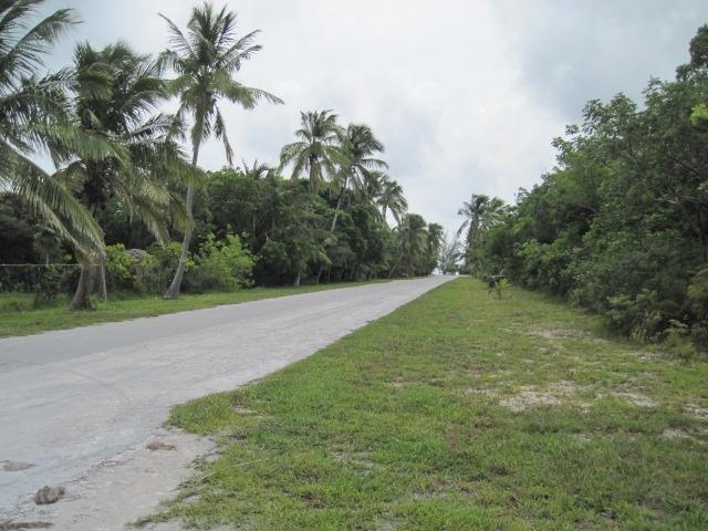 /listing-lots-acreage-in-bahama-palm-shores-78779.html from Coldwell Banker Bahamas Real Estate