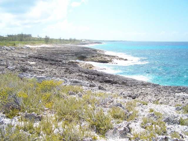 /listing-lots-acreage-in-rainbow-bay-79065.html from Coldwell Banker Bahamas Real Estate