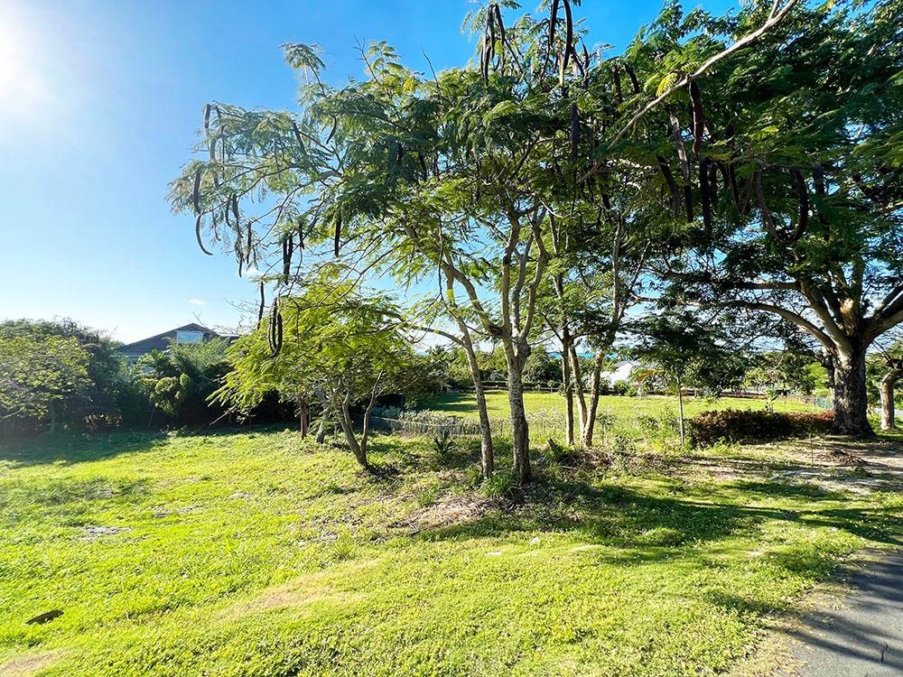 /listing-lots-acreage-in-lyford-cay-81288.html from Coldwell Banker Bahamas Real Estate