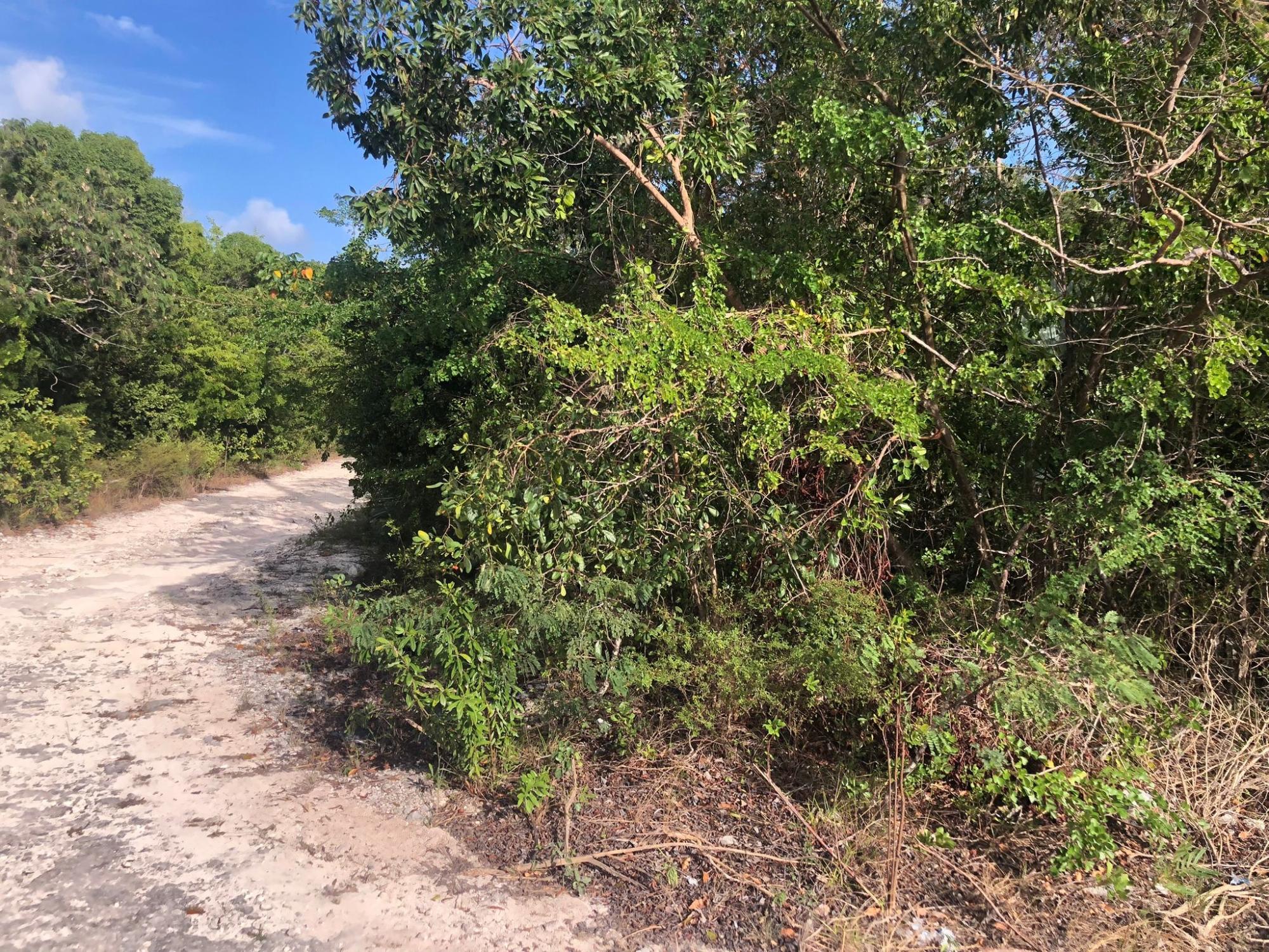 /listing-lots-acreage-in-bahama-sound-79296.html from Coldwell Banker Bahamas Real Estate