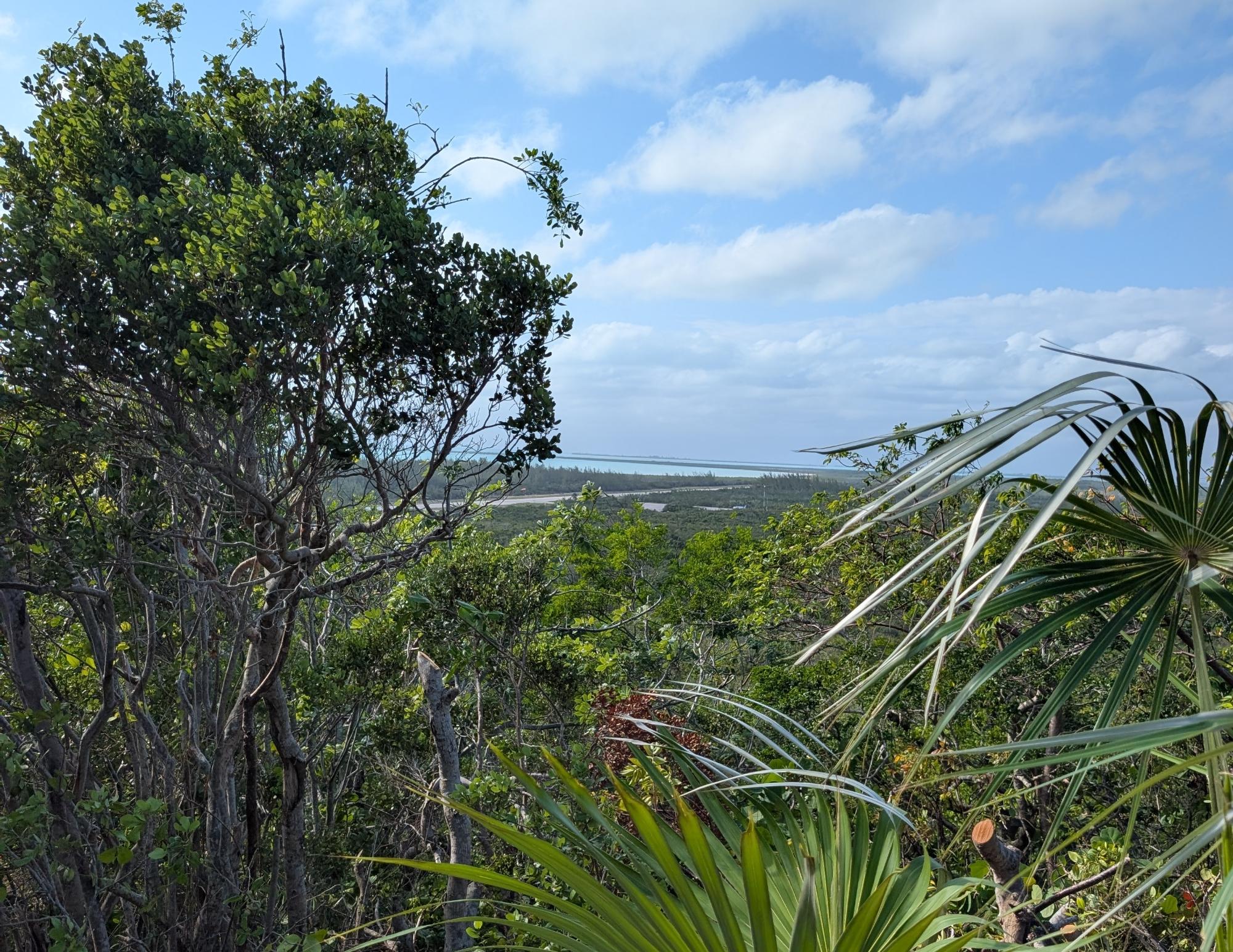 /listing-lots-acreage-in-stella-maris-79394.html from Coldwell Banker Bahamas Real Estate