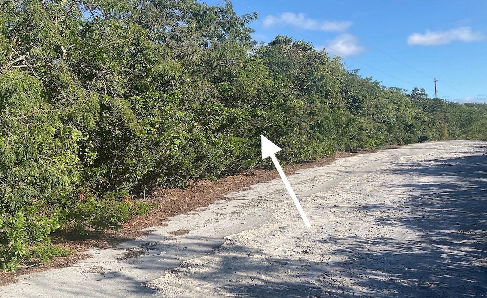 /listing-lots-acreage-in-stella-maris-79383.html from Coldwell Banker Bahamas Real Estate