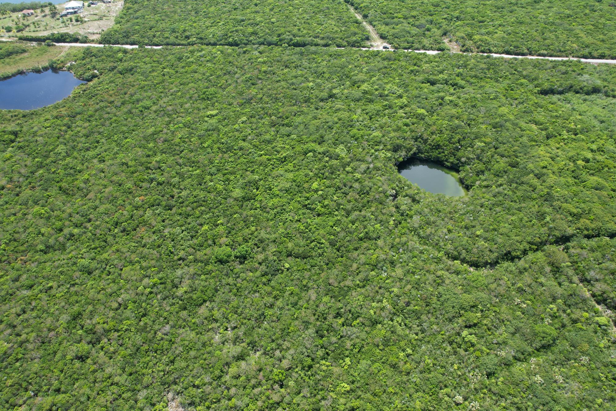 /listing-lots-acreage-in-wemyss-bight-79403.html from Coldwell Banker Bahamas Real Estate