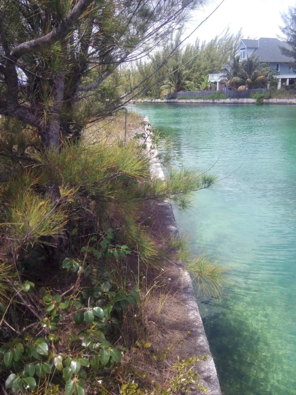 /listing-lots-acreage-in-derby-79550.html from Coldwell Banker Bahamas Real Estate