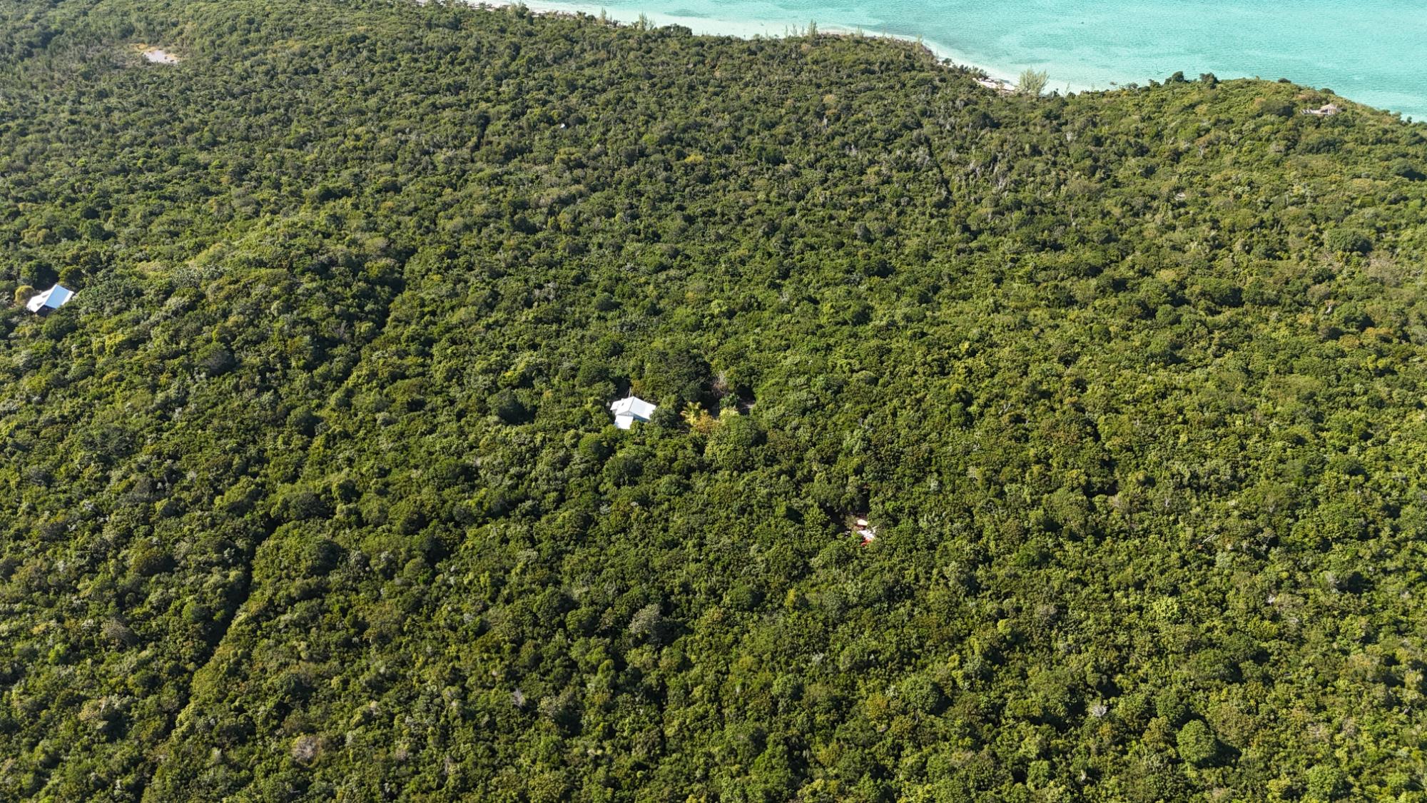 /listing-lots-acreage-in-lubbers-quarters-79446.html from Coldwell Banker Bahamas Real Estate