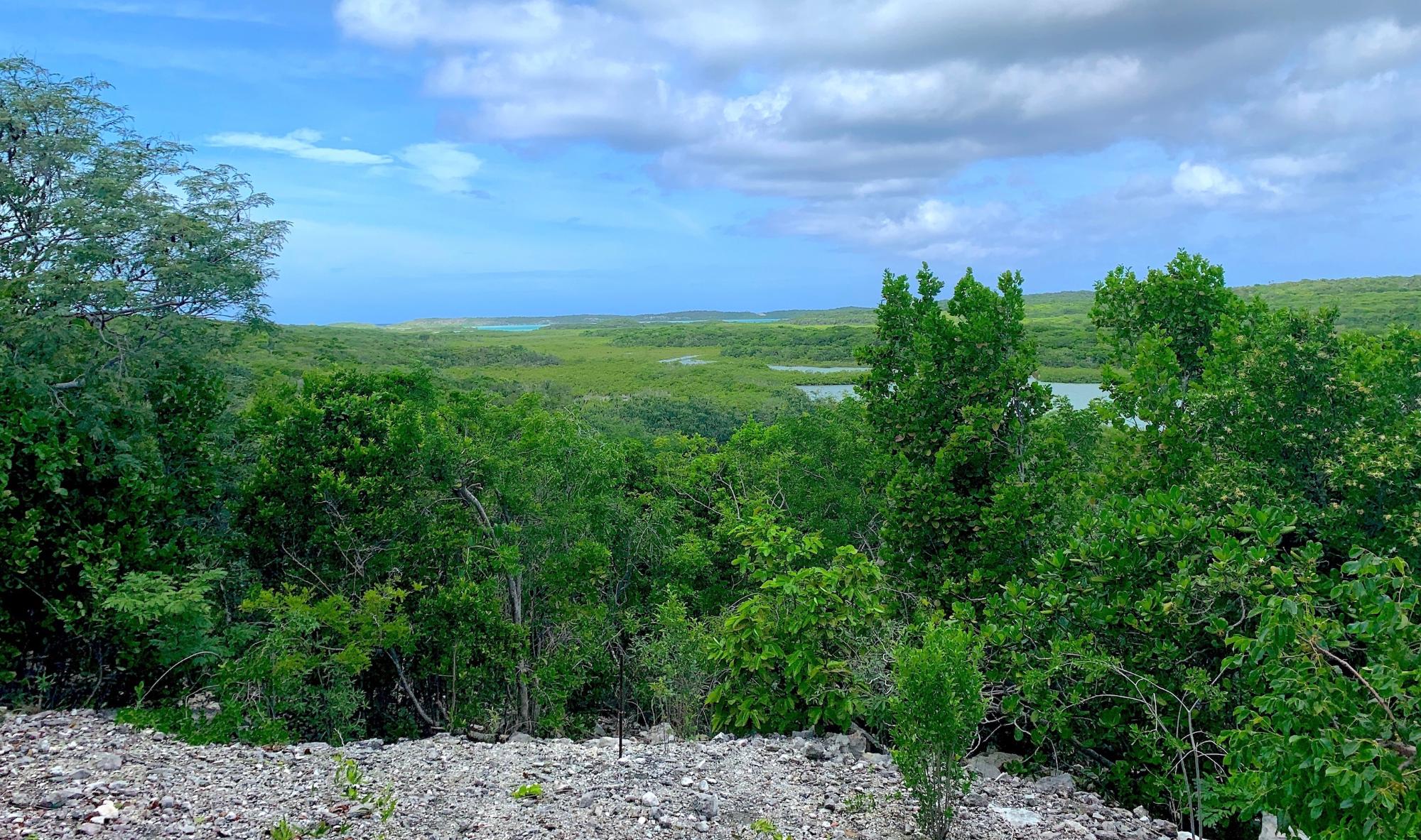 /listing-lots-acreage-in-seymours-79509.html from Coldwell Banker Bahamas Real Estate