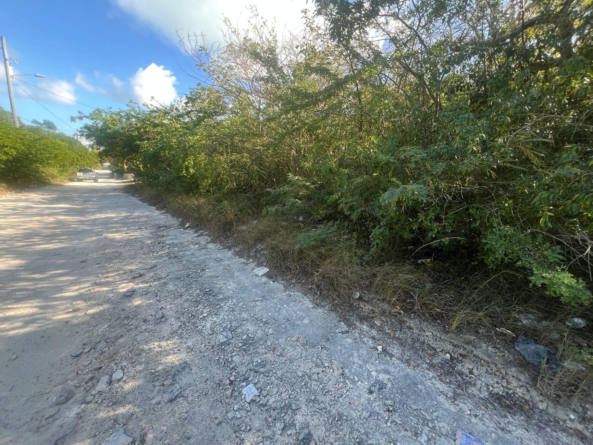/listing-lots-acreage-in-hoopers-bay-79556.html from Coldwell Banker Bahamas Real Estate