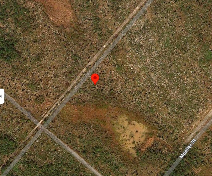 /listing-lots-acreage-in-west-end-79620.html from Coldwell Banker Bahamas Real Estate