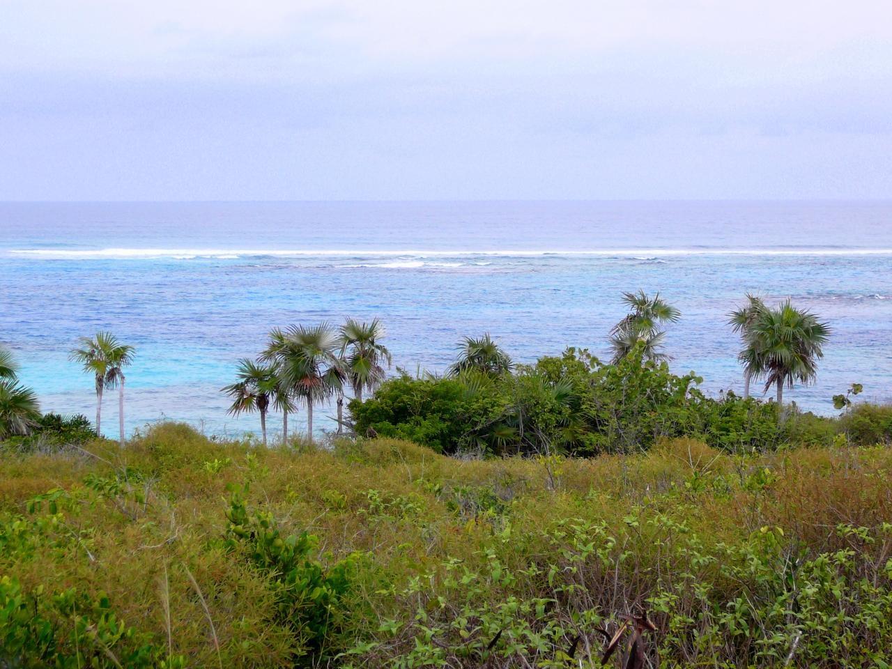 /listing-lots-acreage-in-deans-79624.html from Coldwell Banker Bahamas Real Estate