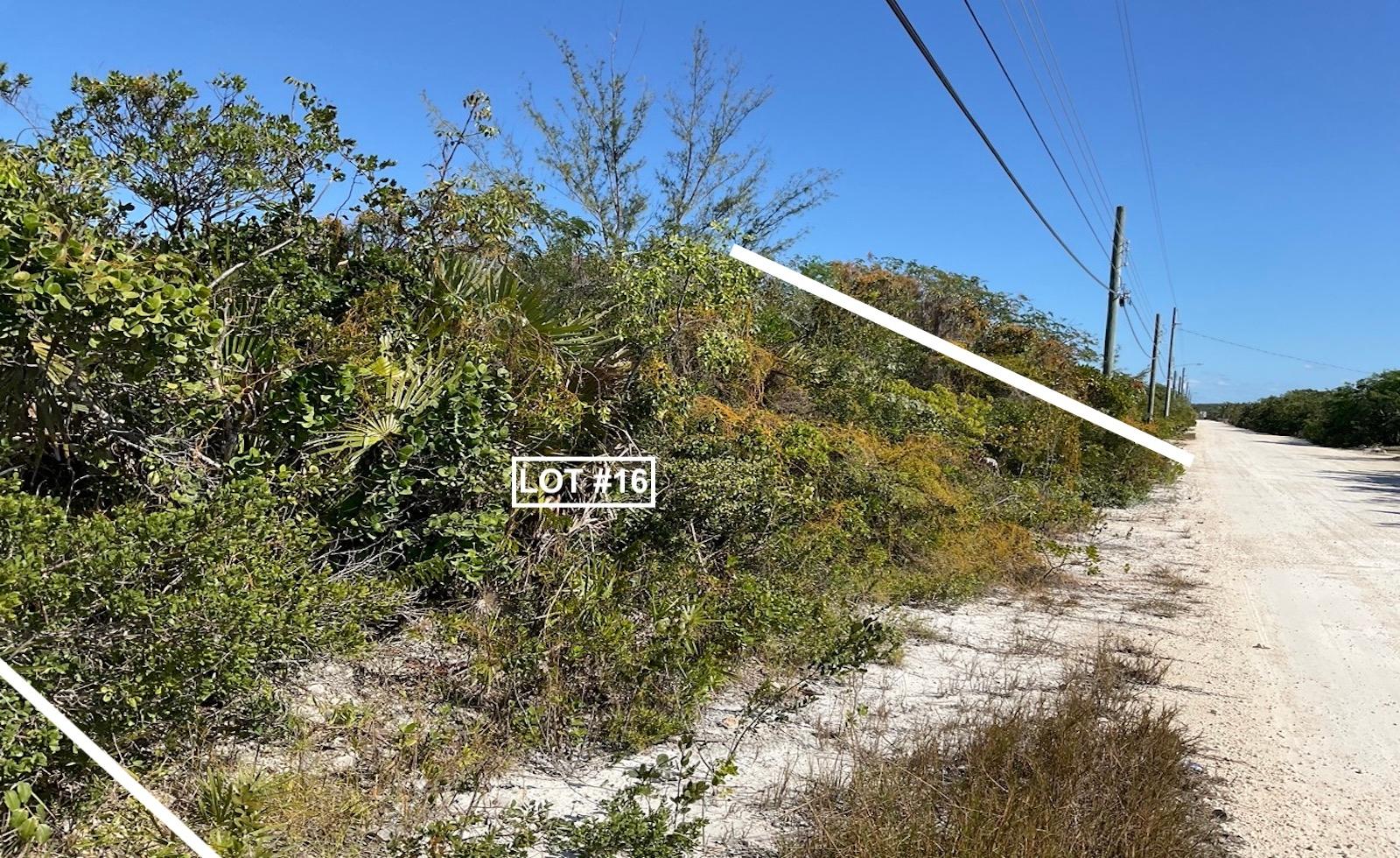 /listing-lots-acreage-in-wemyss-whymms-79732.html from Coldwell Banker Bahamas Real Estate