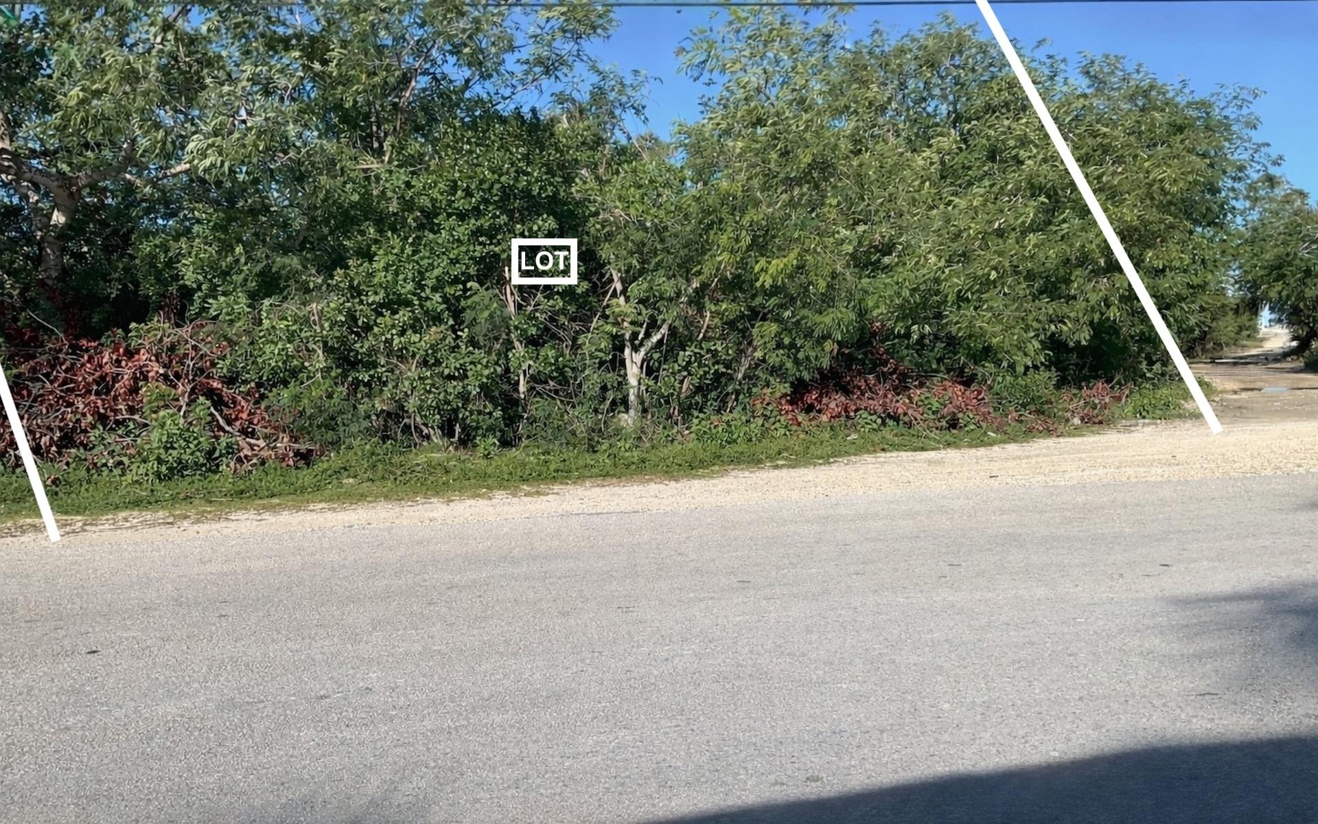 /listing-lots-acreage-in-deadmans-cay-79786.html from Coldwell Banker Bahamas Real Estate