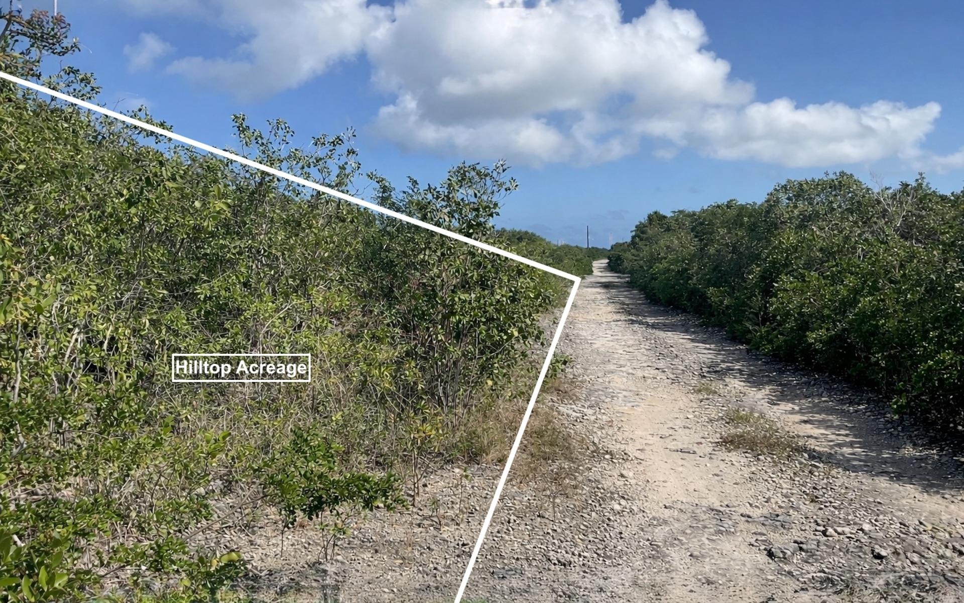 /listing-lots-acreage-in-turnbull-79782.html from Coldwell Banker Bahamas Real Estate