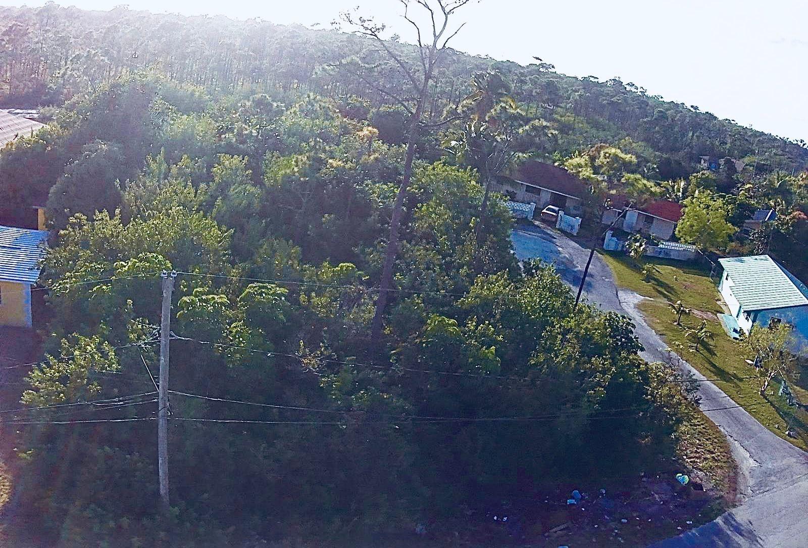 /listing-lots-acreage-in-yeomanwood-subdivision-79971.html from Coldwell Banker Bahamas Real Estate