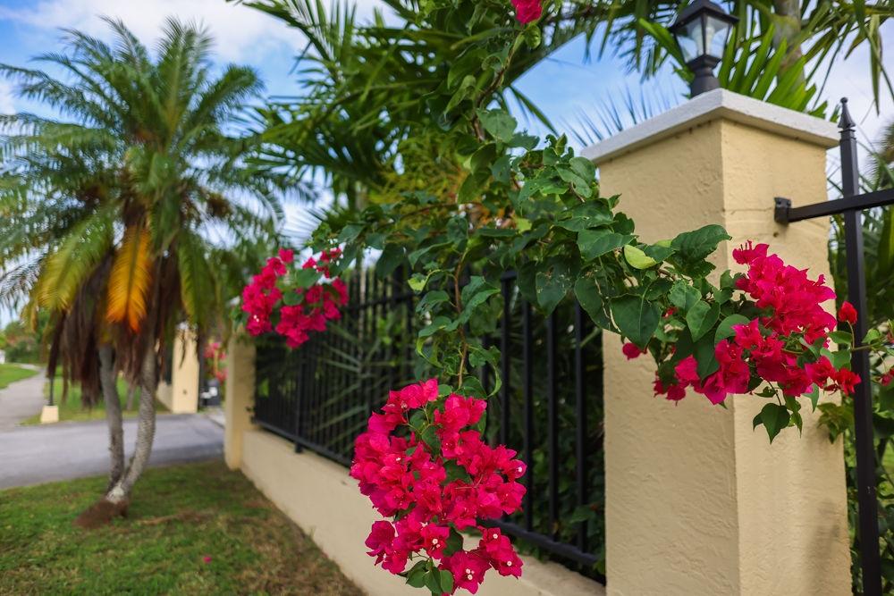 /listing-condo-in-bell-channel-80165.html from Coldwell Banker Bahamas Real Estate