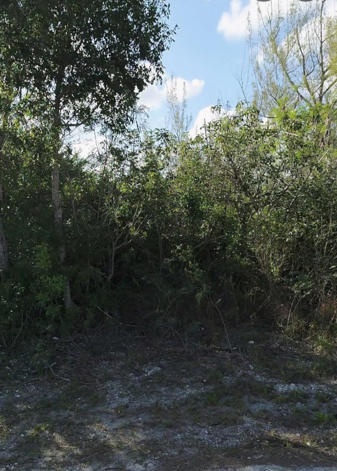 /listing-lots-acreage-in-derby-80236.html from Coldwell Banker Bahamas Real Estate