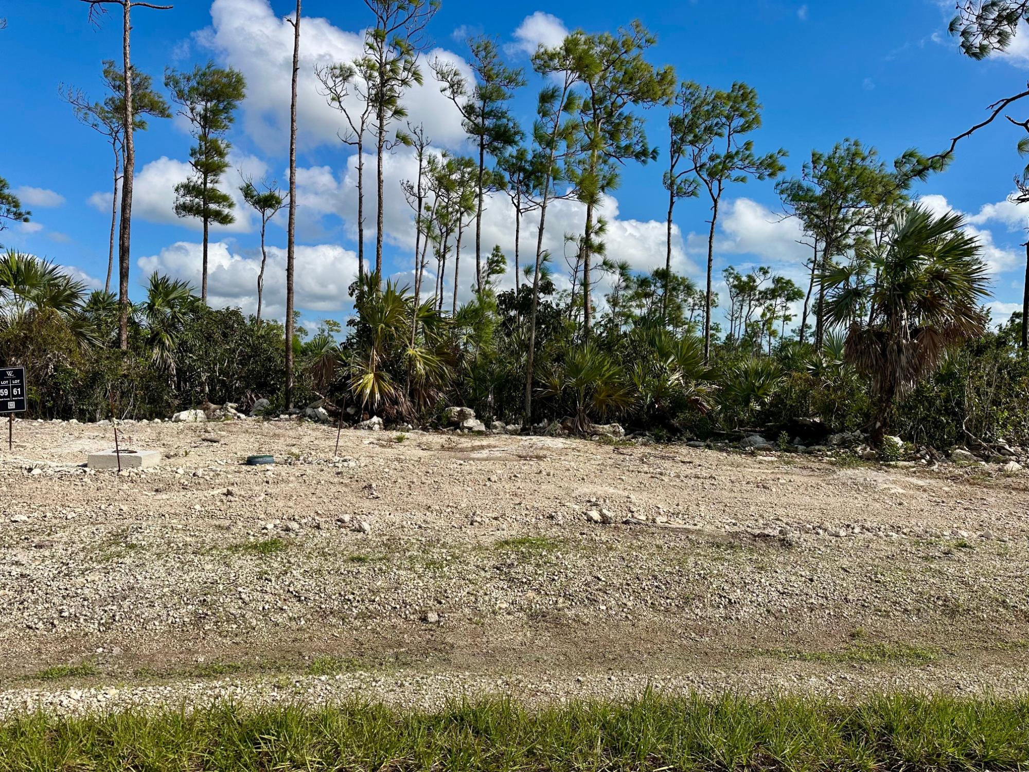/listing-lots-acreage-in-adelaide-80312.html from Coldwell Banker Bahamas Real Estate