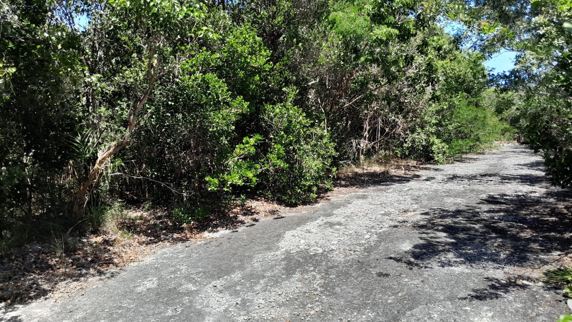 /listing-lots-acreage-in-bahama-sound-80474.html from Coldwell Banker Bahamas Real Estate