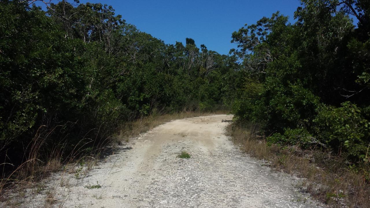 /listing-lots-acreage-in-orange-creek-80522.html from Coldwell Banker Bahamas Real Estate