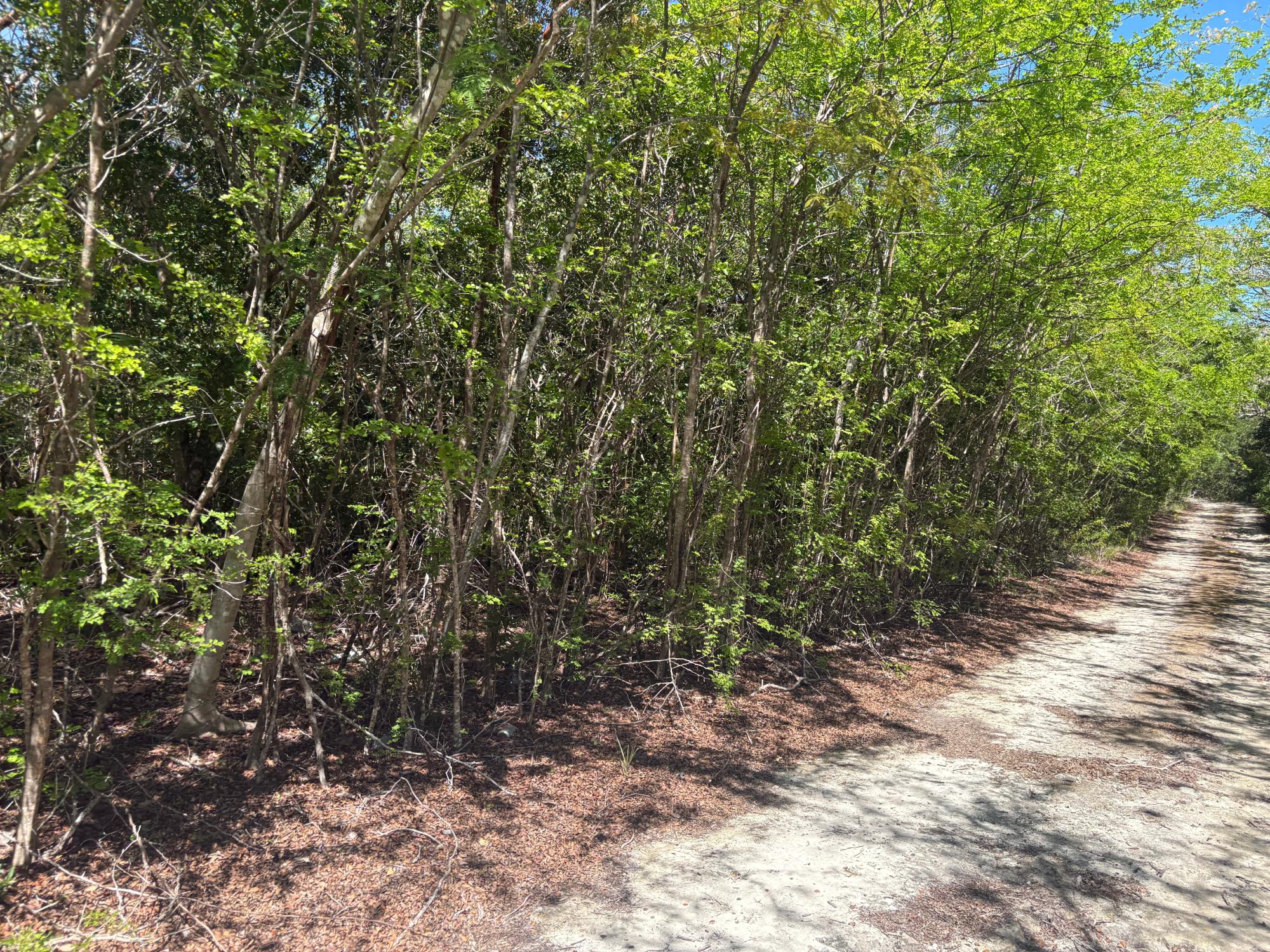 /listing-lots-acreage-in-little-exuma-80611.html from Coldwell Banker Bahamas Real Estate