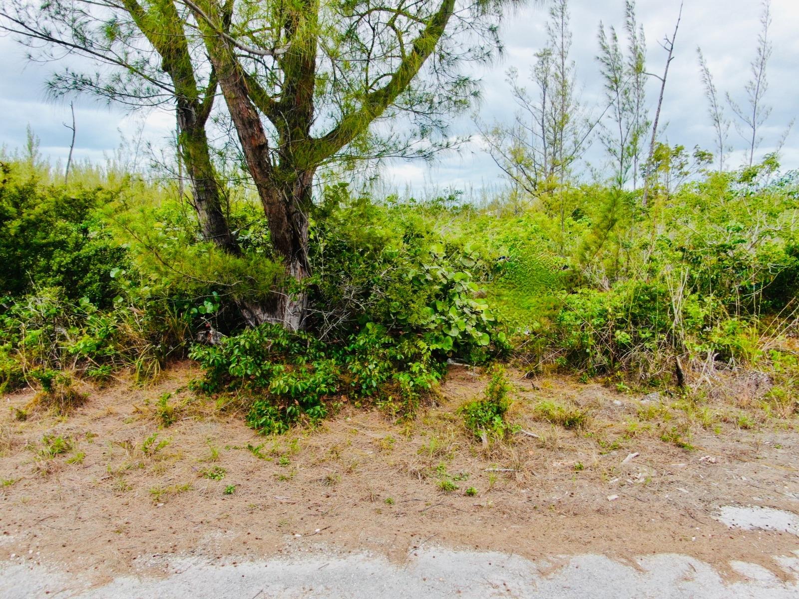 /listing-lots-acreage-in-derby-80663.html from Coldwell Banker Bahamas Real Estate