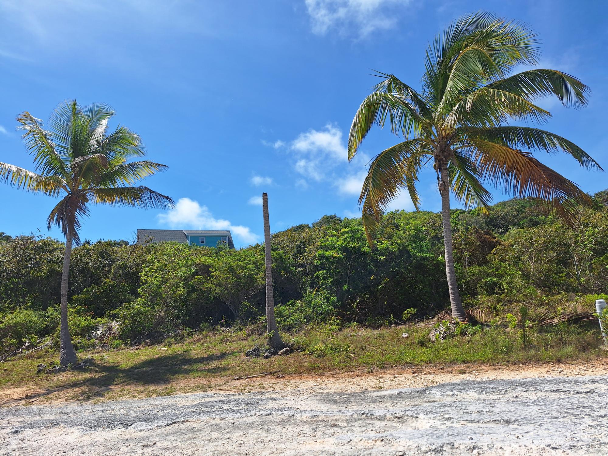 /listing-lots-acreage-in-long-beach-80645.html from Coldwell Banker Bahamas Real Estate