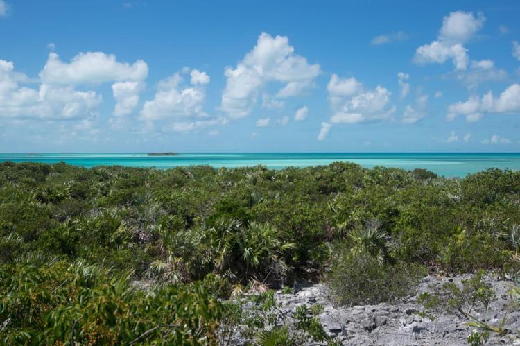 /listing-lots-acreage-in-bahama-sound-80629.html from Coldwell Banker Bahamas Real Estate