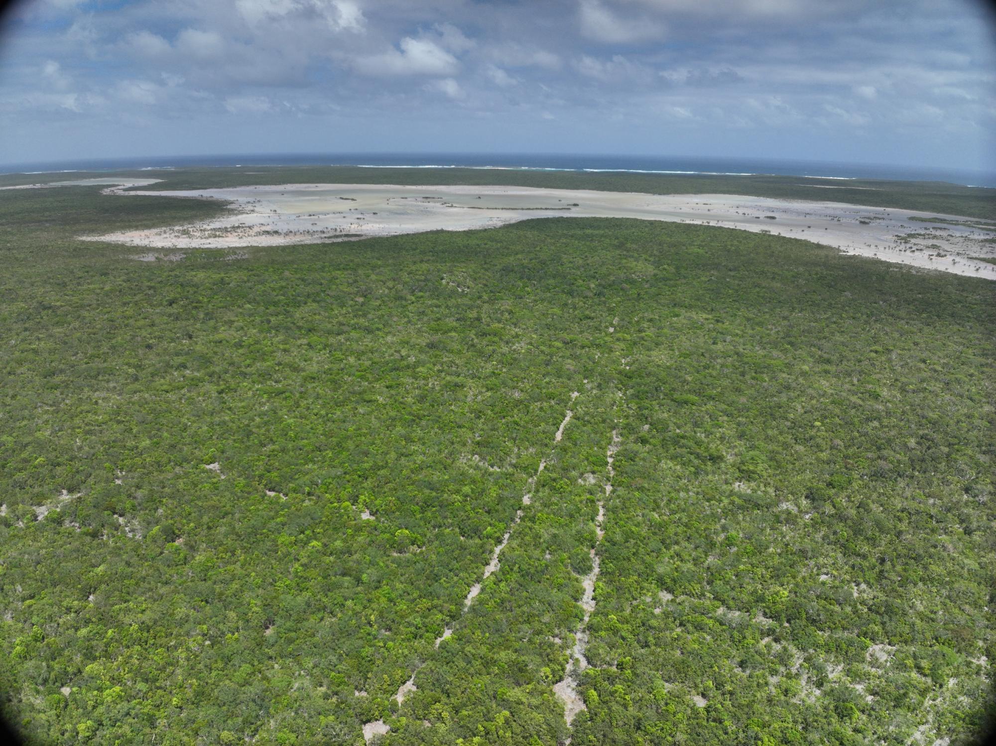 /listing-lots-acreage-in-berrys-80665.html from Coldwell Banker Bahamas Real Estate