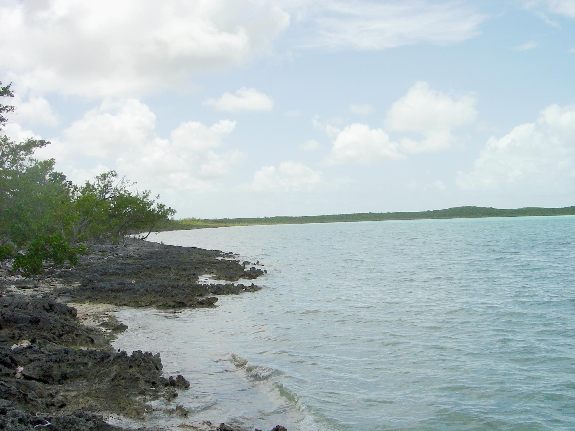 /listing-lots-acreage-in-bowers-80756.html from Coldwell Banker Bahamas Real Estate