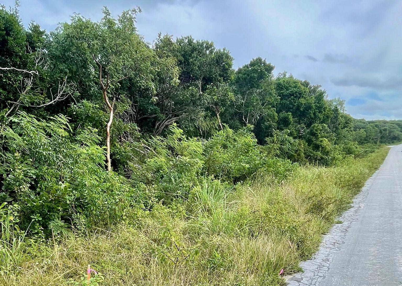/listing-lots-acreage-in-governors-harbour-80676.html from Coldwell Banker Bahamas Real Estate