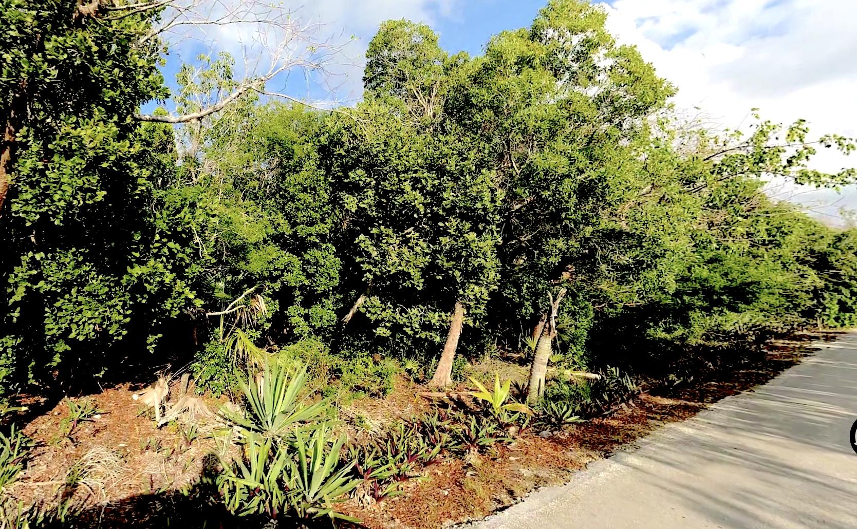 /listing-lots-acreage-in-palmetto-point-81059.html from Coldwell Banker Bahamas Real Estate