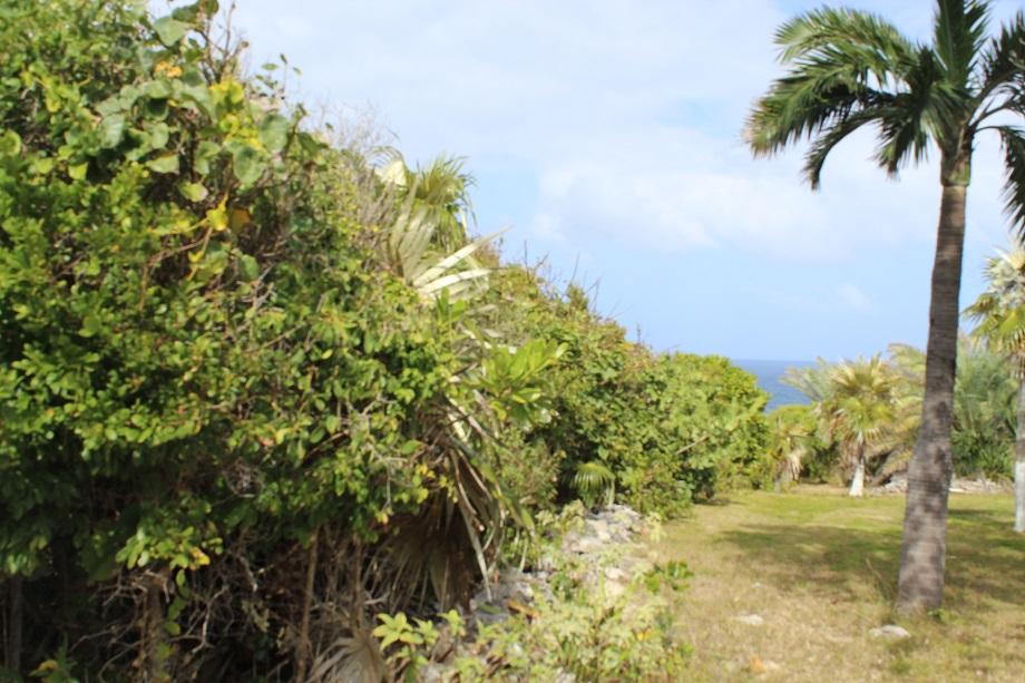 /listing-lots-acreage-in-stella-maris-80885.html from Coldwell Banker Bahamas Real Estate