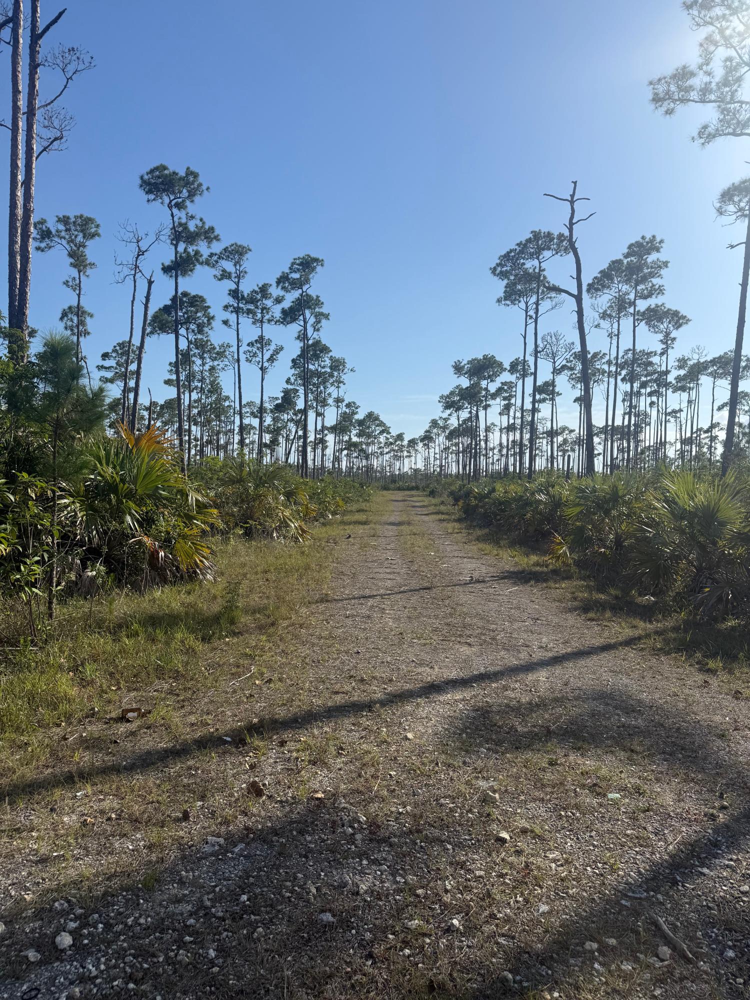 /listing-lots-acreage-in-freeport-81025.html from Coldwell Banker Bahamas Real Estate