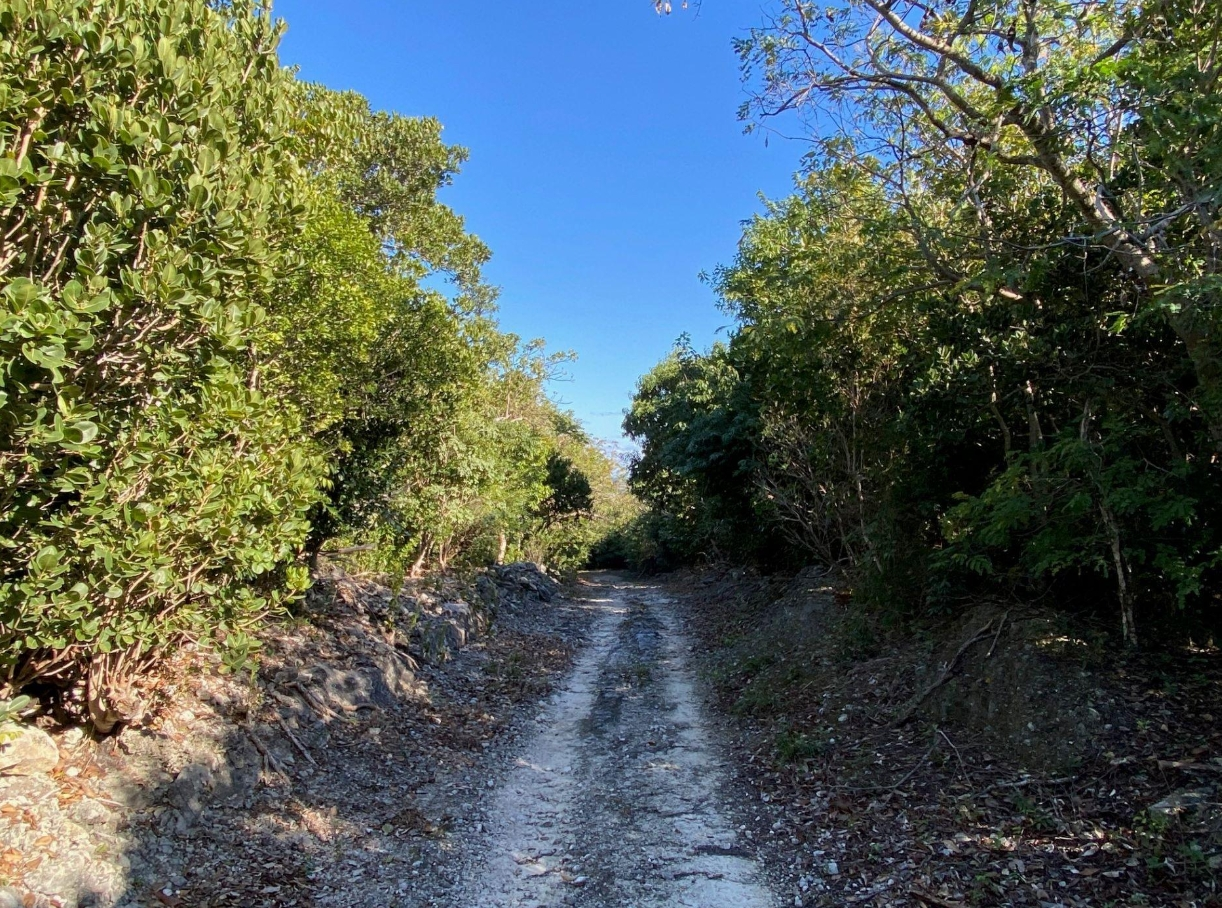 /listing-lots-acreage-in-treasure-cay-81090.html from Coldwell Banker Bahamas Real Estate
