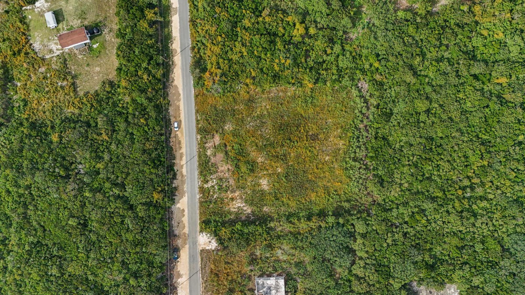 /listing-lots-acreage-in-wemyss-bight-81660.html from Coldwell Banker Bahamas Real Estate