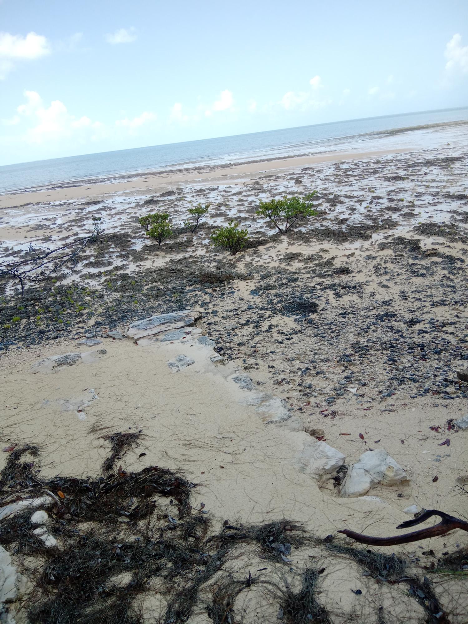 /listing-lots-acreage-in-bahama-sound-81147.html from Coldwell Banker Bahamas Real Estate