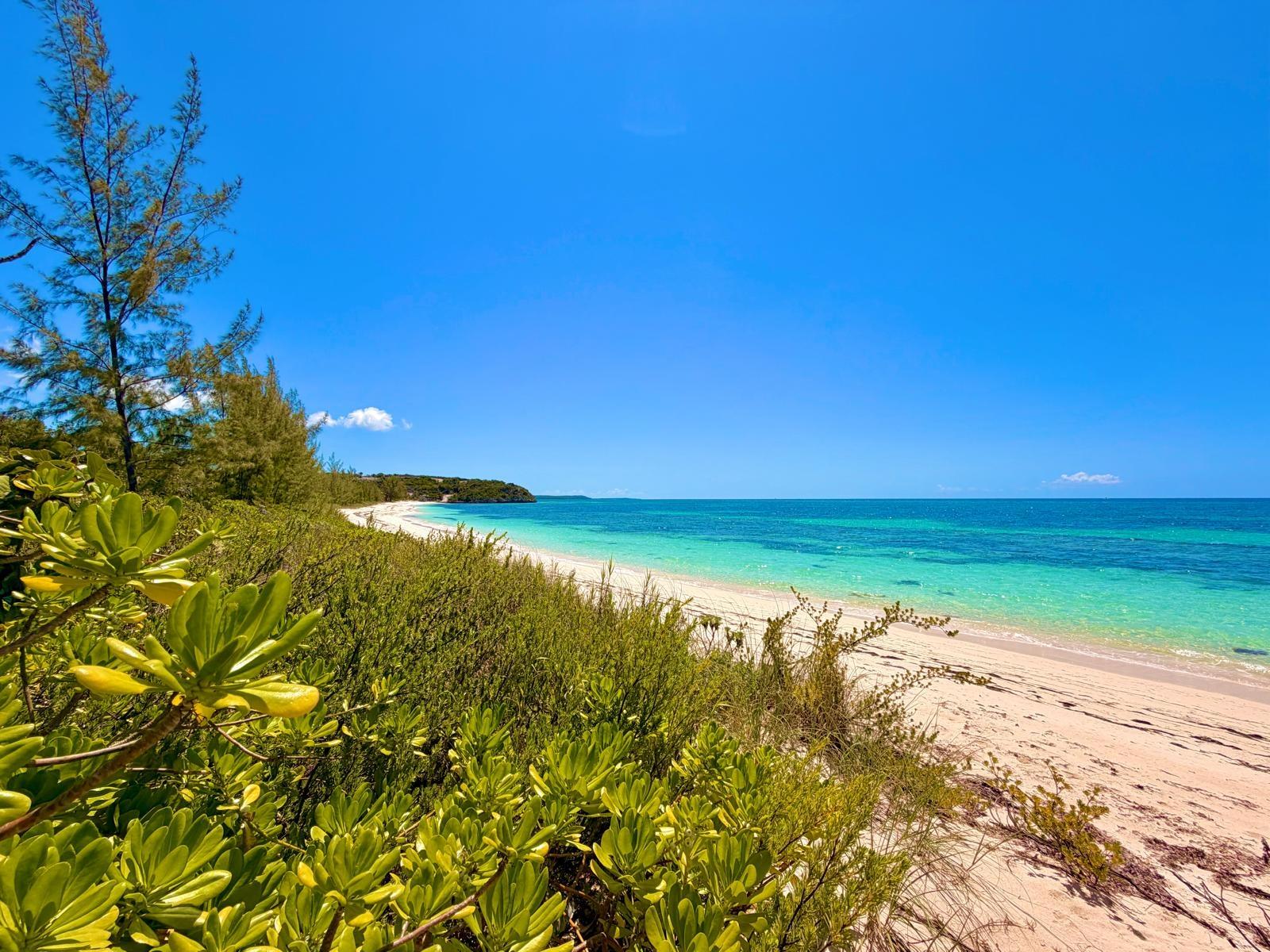 /listing-lots-acreage-in-other-cat-island-81198.html from Coldwell Banker Bahamas Real Estate