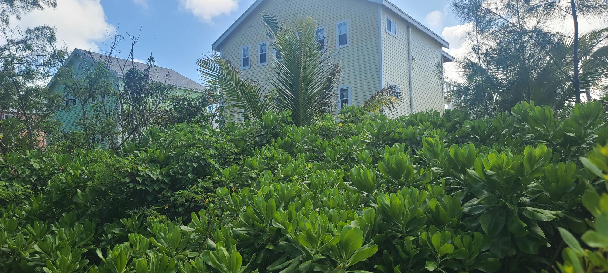 /listing-lots-acreage-in-governors-harbour-81307.html from Coldwell Banker Bahamas Real Estate