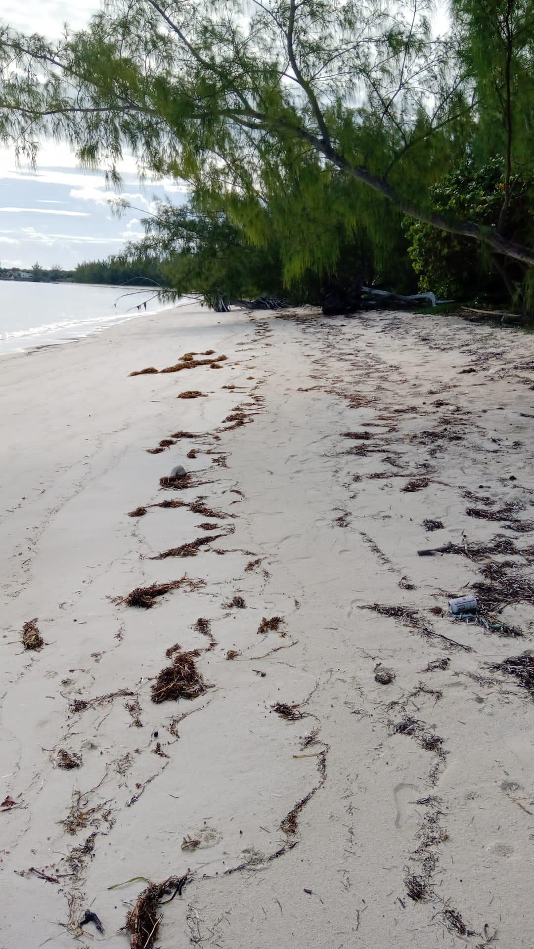 /listing-lots-acreage-in-fresh-creek-81308.html from Coldwell Banker Bahamas Real Estate