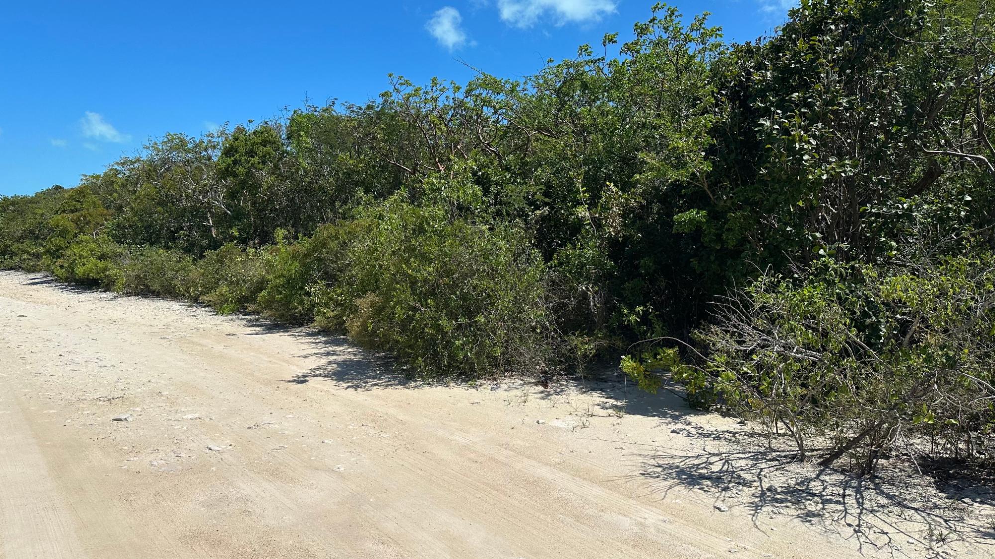 /listing-lots-acreage-in-little-exuma-81366.html from Coldwell Banker Bahamas Real Estate