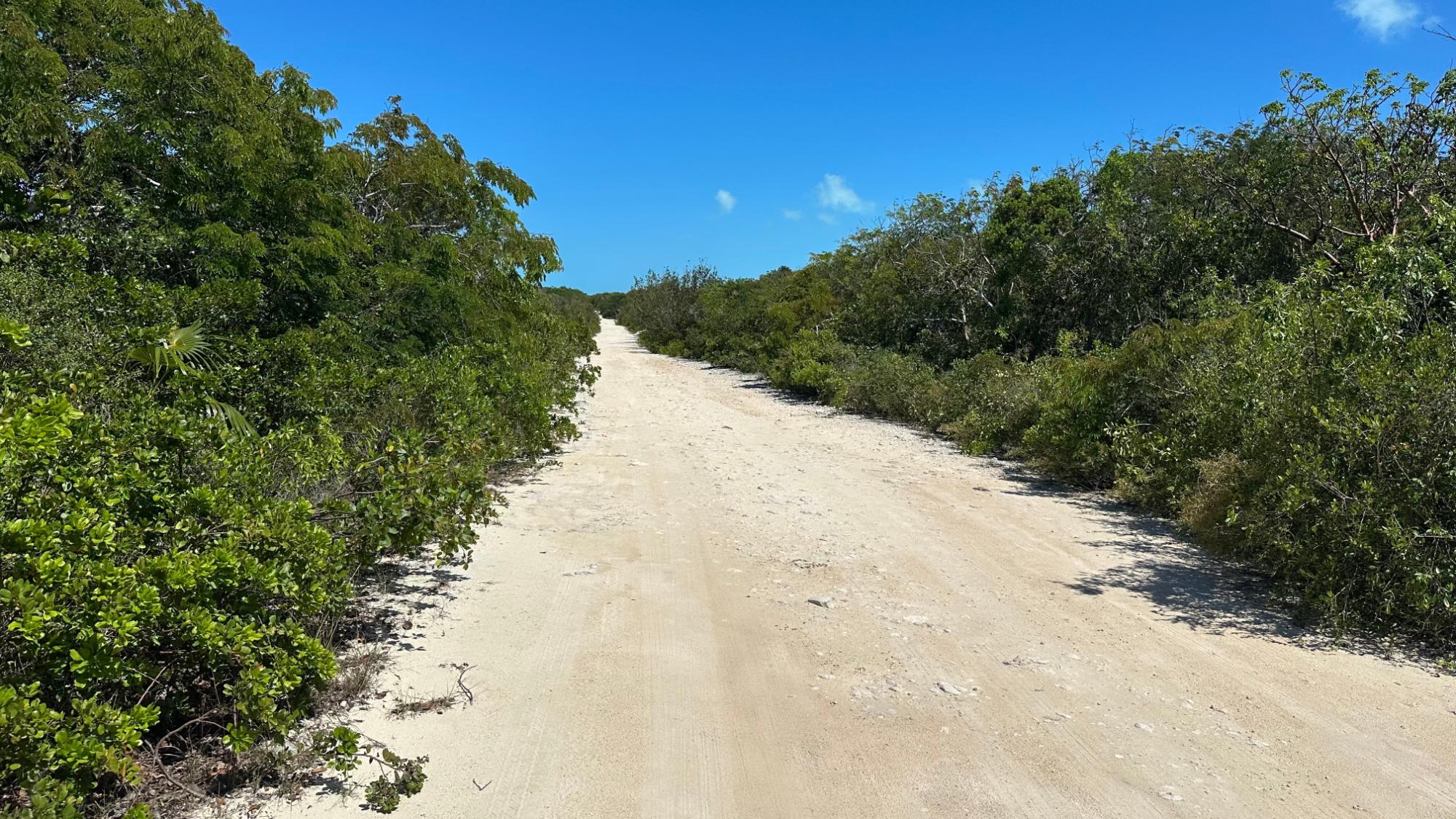 /listing-lots-acreage-in-little-exuma-81364.html from Coldwell Banker Bahamas Real Estate