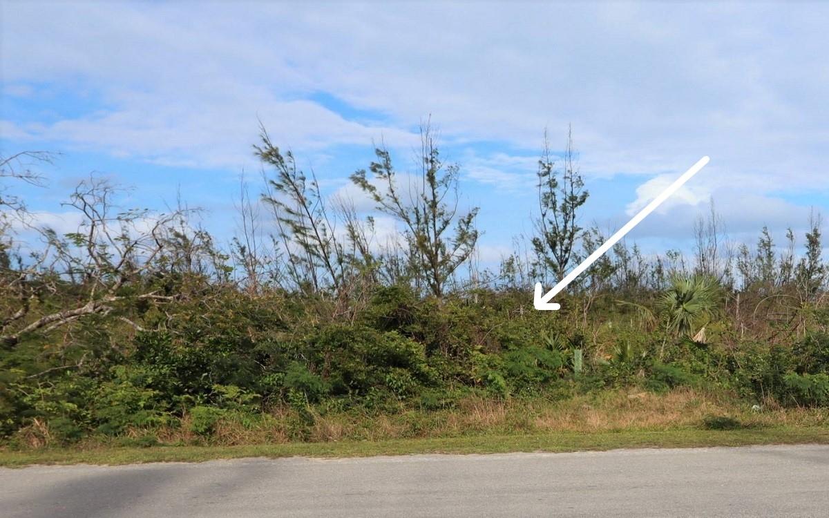 /listing-lots-acreage-in-coopers-town-81733.html from Coldwell Banker Bahamas Real Estate