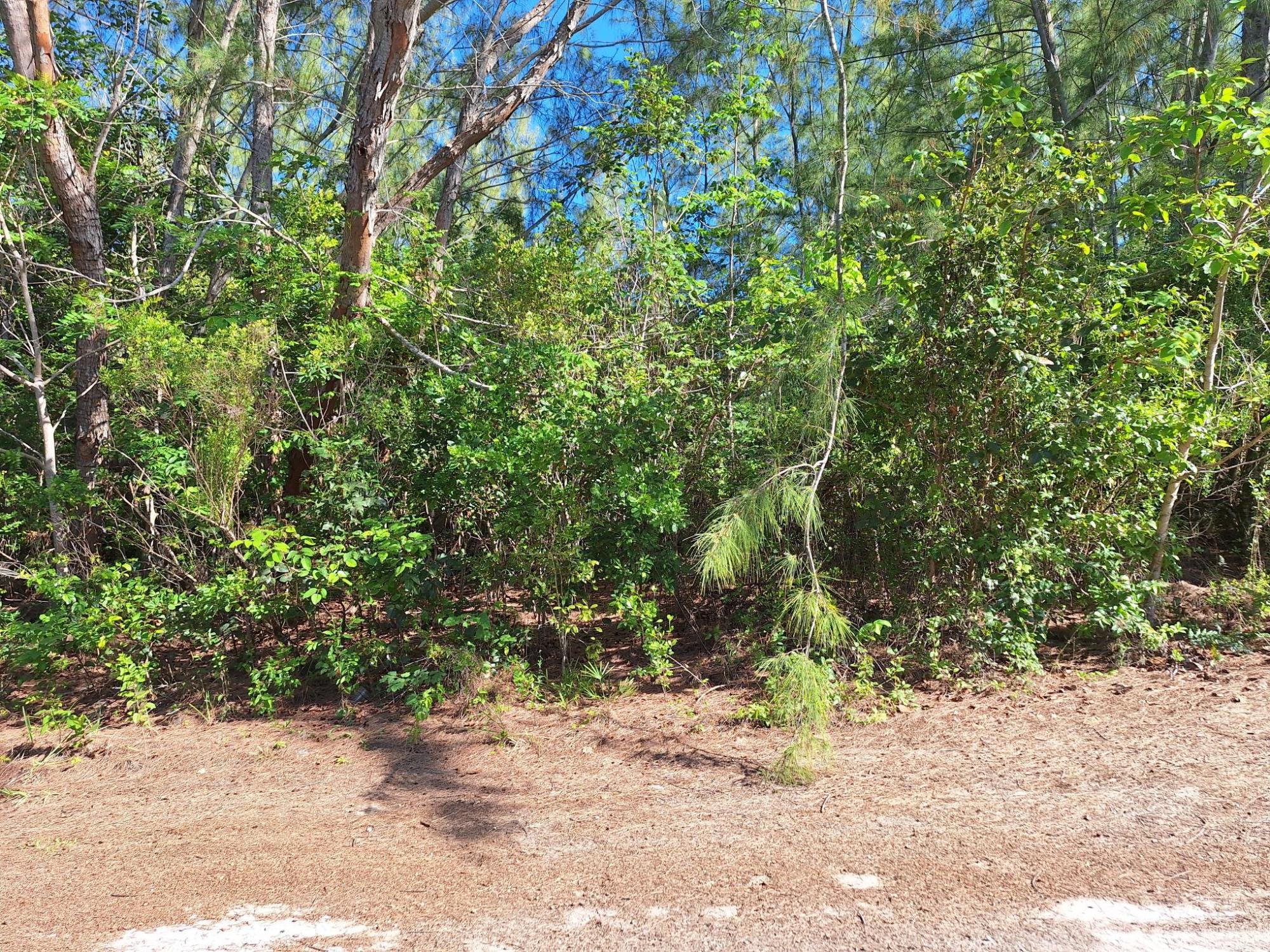 /listing-lots-acreage-in-bahama-palm-shores-81734.html from Coldwell Banker Bahamas Real Estate