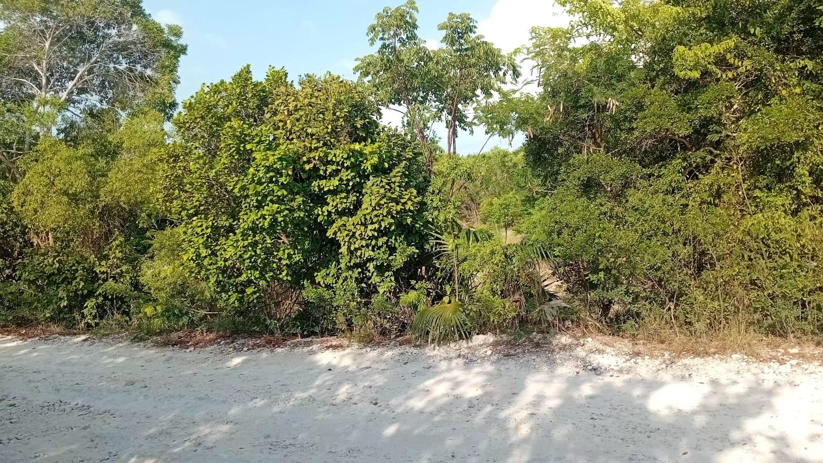 /listing-lots-acreage-in-bahama-sound-81843.html from Coldwell Banker Bahamas Real Estate