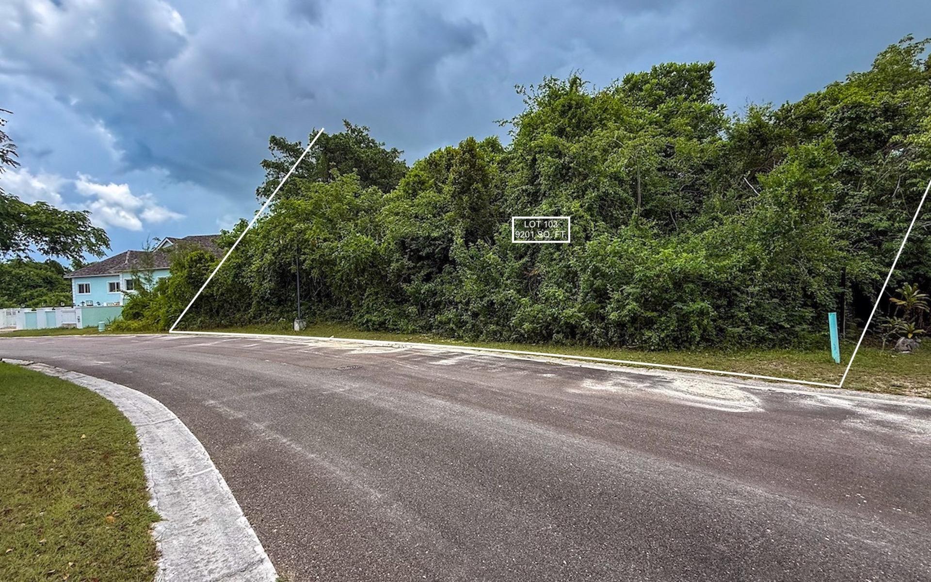 /listing-lots-acreage-in-western-road-81831.html from Coldwell Banker Bahamas Real Estate